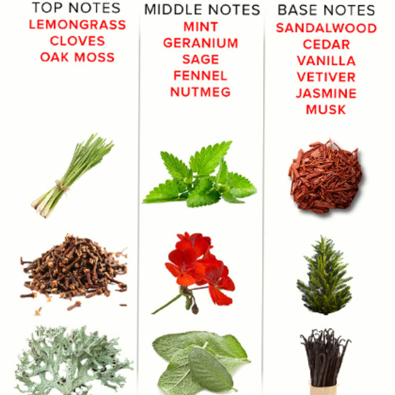 Perfume Con Feromonas Romantic