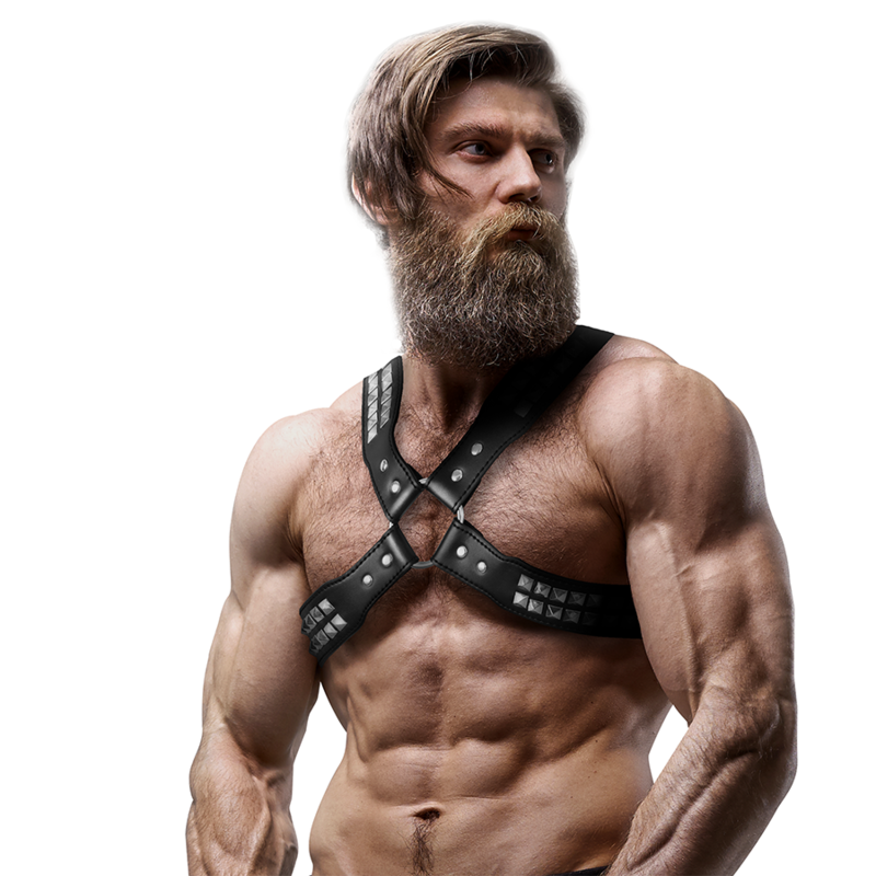 Arnés Pecho Cruzado