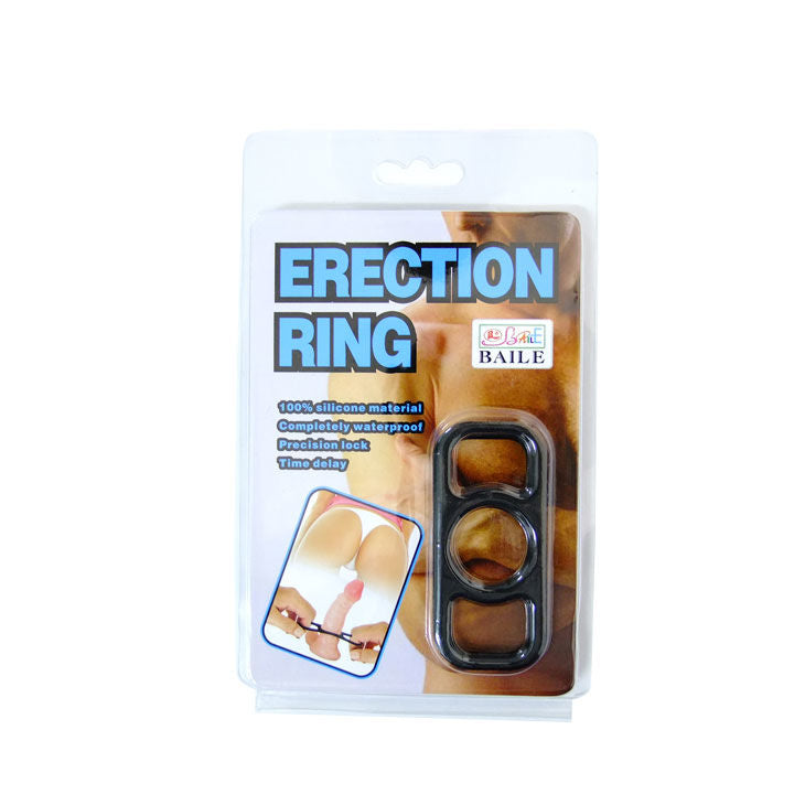 Erection Rigns