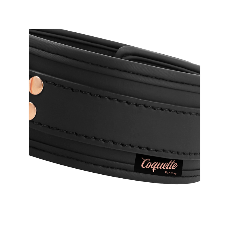 Fantasy Collar Cuero Vegano Con Correa Y Forro De Neopreno