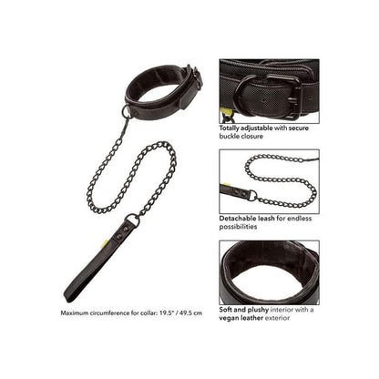Boundless Collar Con Correa