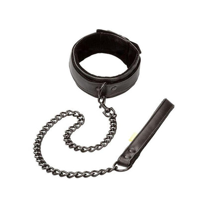 Boundless Collar Con Correa