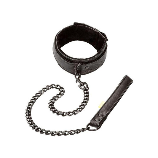 Boundless Collar Con Correa