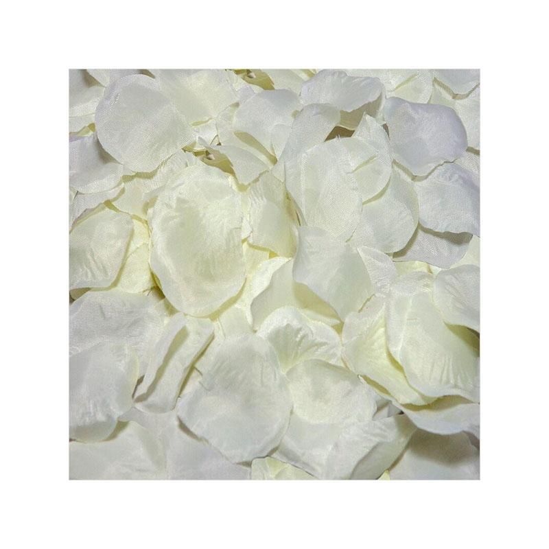 100 Pétalos Color Vainilla