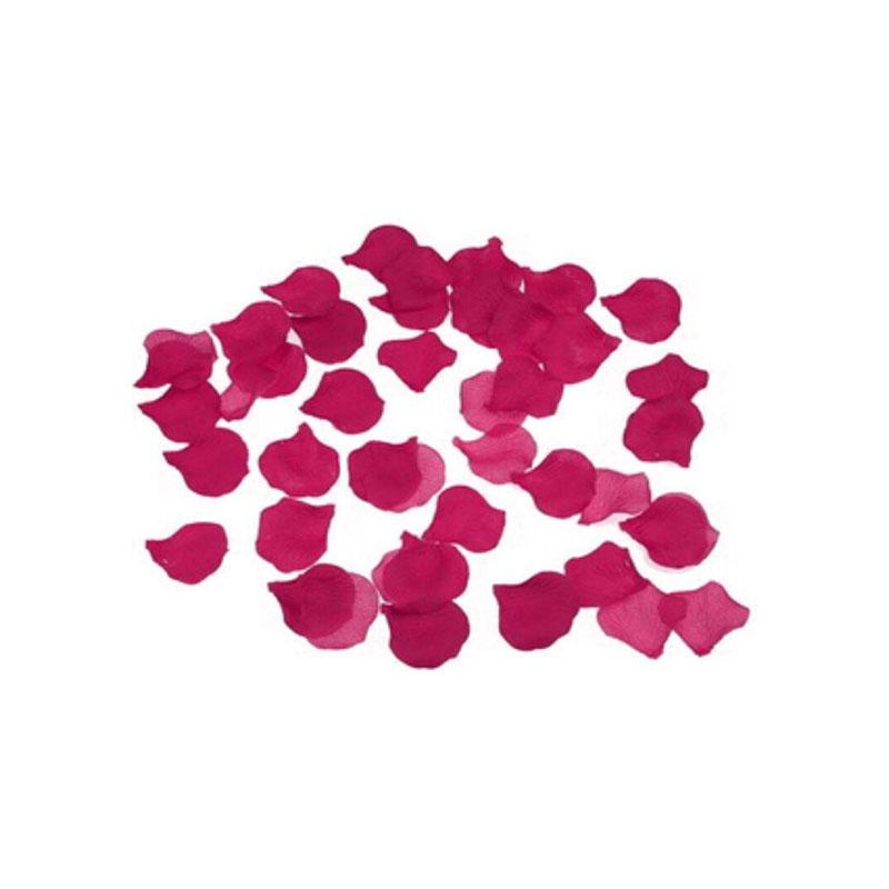 100 Pétalos Color Fucsia
