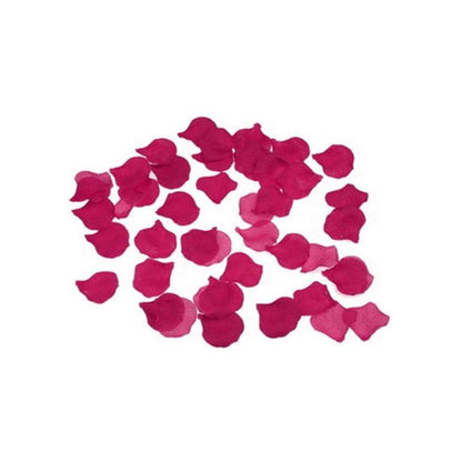 100 Pétalos Color Fucsia