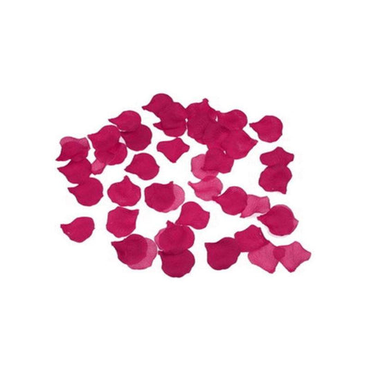 100 Pétalos Color Fucsia