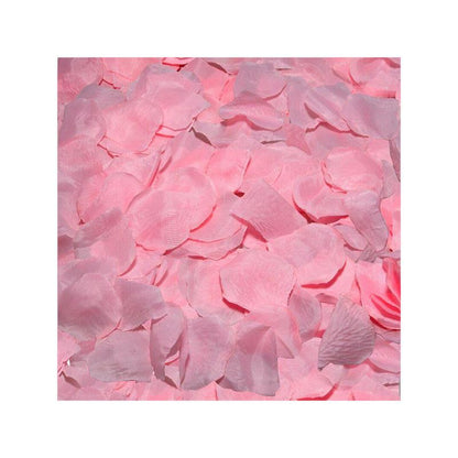 100 Pétalos Color Rosa