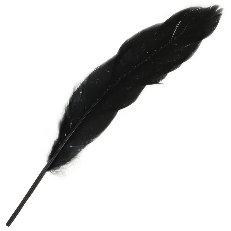 Set Para Parejas Numero 3