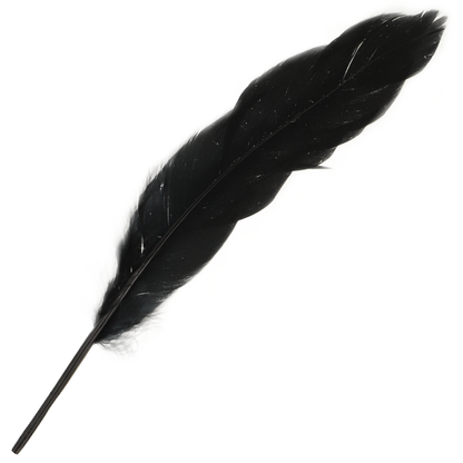 Set Para Parejas Numero 3