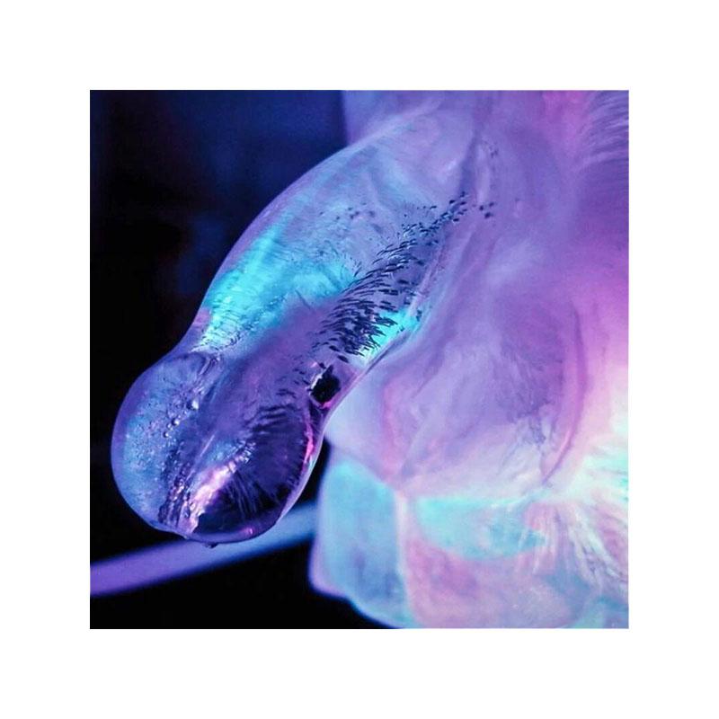 Molde De Hielo Pene Grande