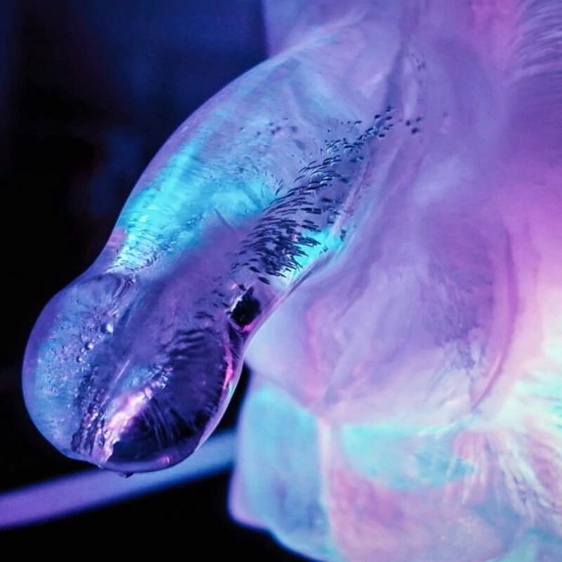 Molde De Hielo Pene Grande