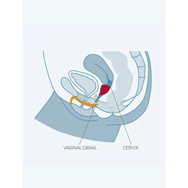 Copa Menstrual Grosse