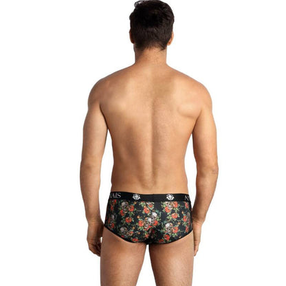 Boxer Power Brief