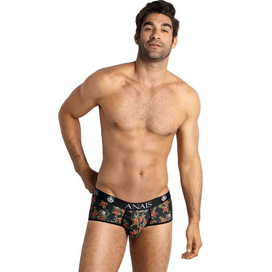 Boxer Power Brief