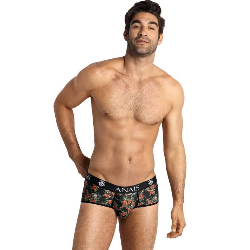 Boxer Power Brief