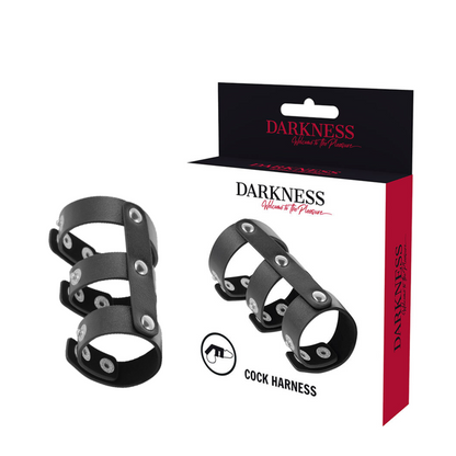 Ring Ajustable