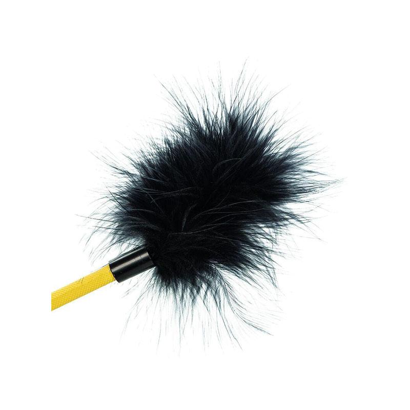 Boundless Cultivo De Plumas