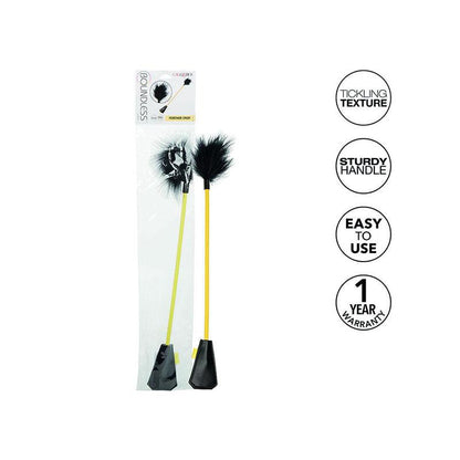 Boundless Cultivo De Plumas