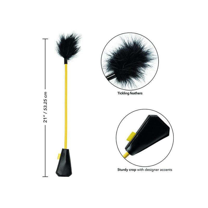 Boundless Cultivo De Plumas