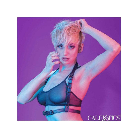 Euphoria Arnés Hatler Con Hebilla Negro