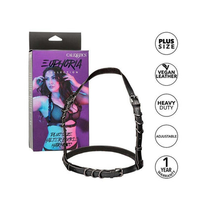 Euphoria Arnés Hatler Con Hebilla Talla Grande Negro