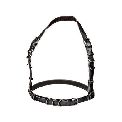Euphoria Arnés Hatler Con Hebilla Talla Grande Negro