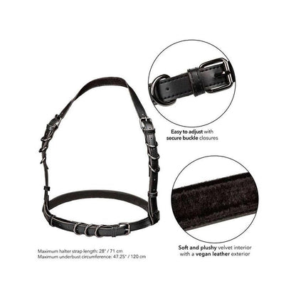 Euphoria Arnés Hatler Con Hebilla Talla Grande Negro