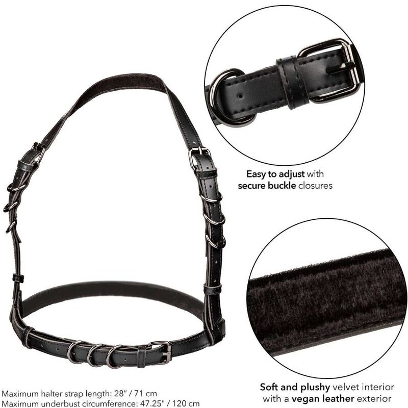 Euphoria Arnés Hatler Con Hebilla Talla Grande Negro