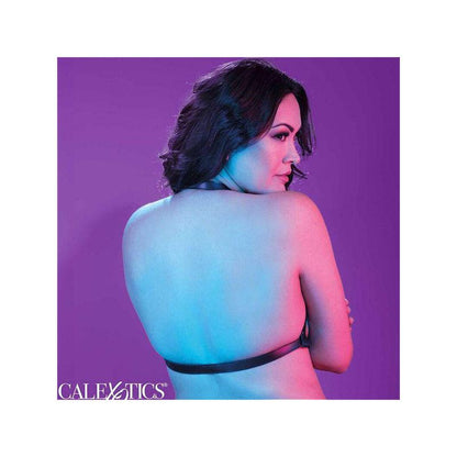 Euphoria Arnés Hatler Con Hebilla Talla Grande Negro