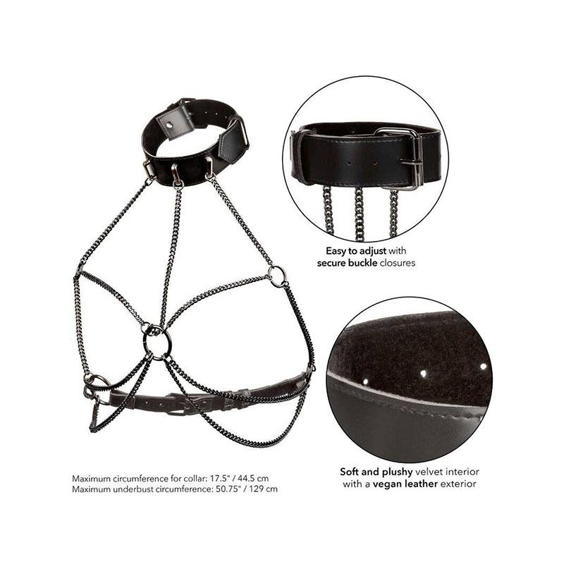 Euphoria Arnés De Cuello De Cadena Talla Grande