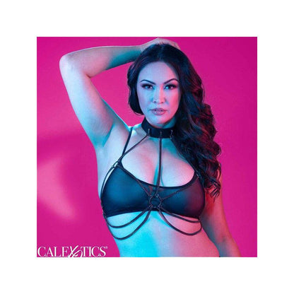 Euphoria Arnés De Cuello De Cadena Talla Grande