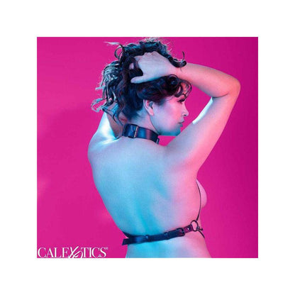 Euphoria Arnés De Cuello De Cadena Talla Grande