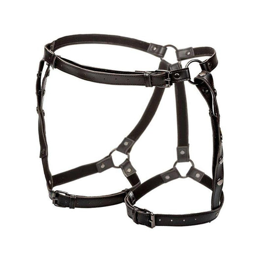 Euphoria Arnés De Muslo Equitación Talla Grande