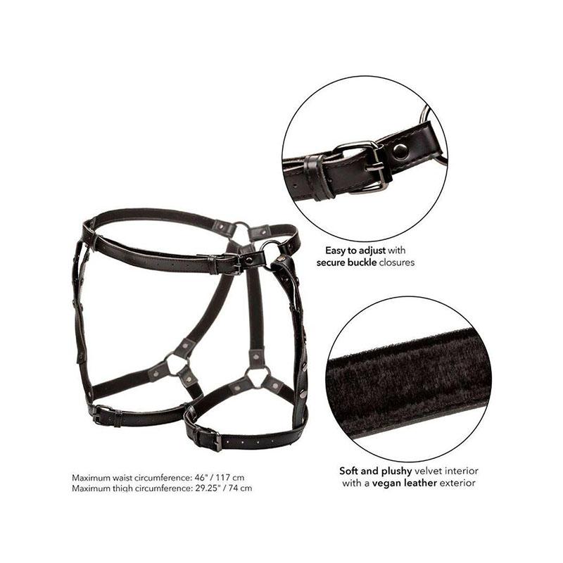 Euphoria Arnés De Muslo Equitación Talla Grande