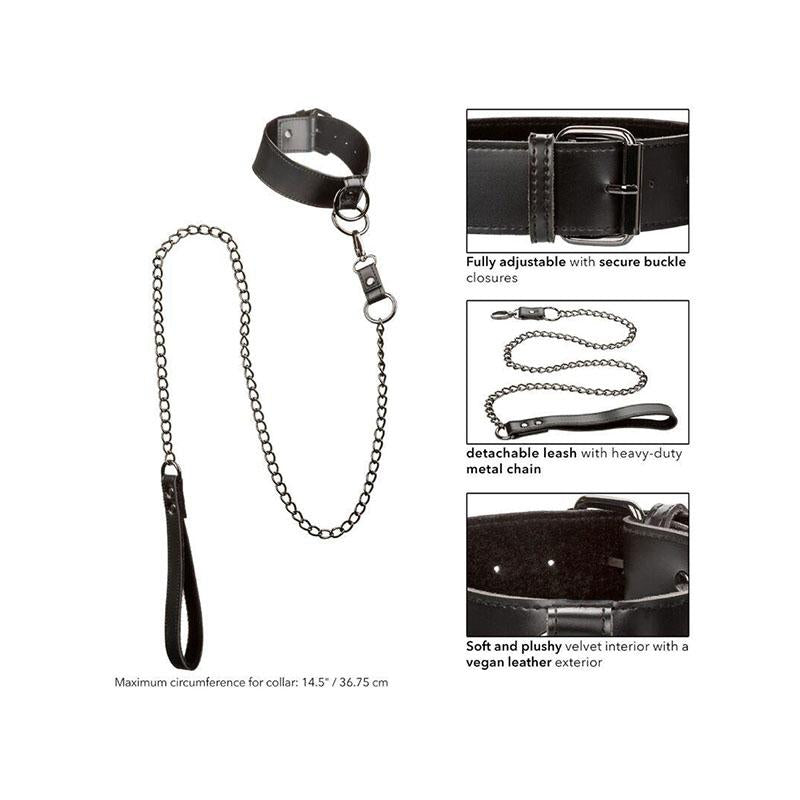 Euphoria Collar Con Correa De Cadena