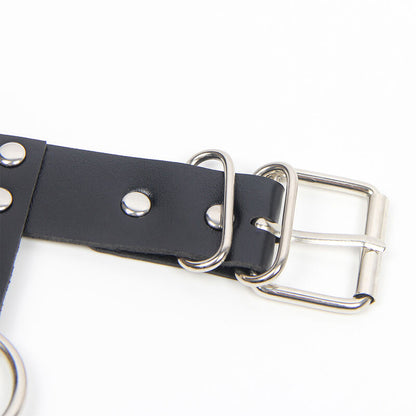 Arnes Collar & Pecho