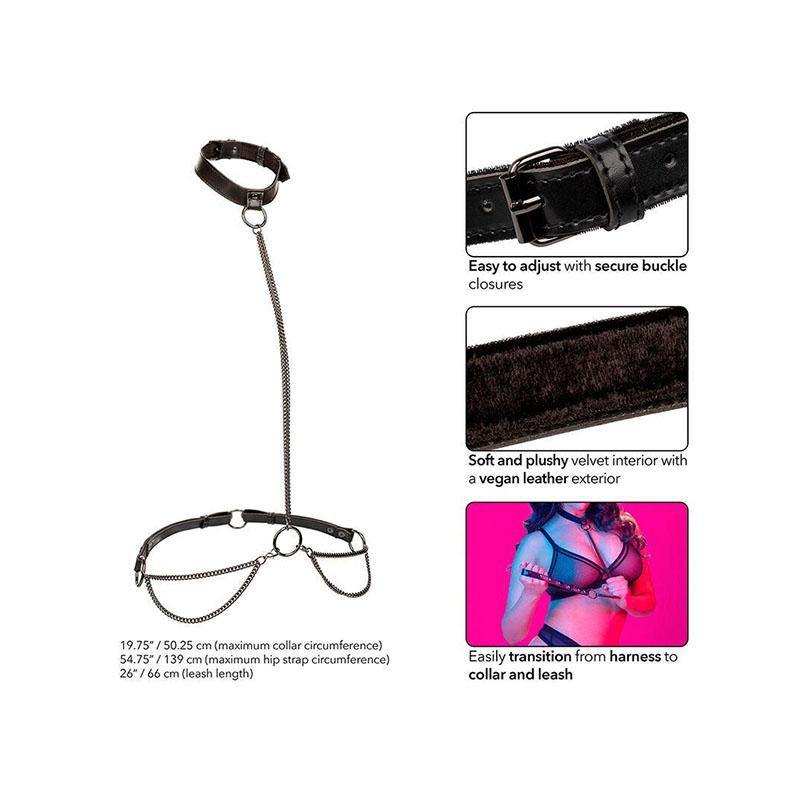 Euphoria Collar Halter Y Correa Con Cadena Talla Plus