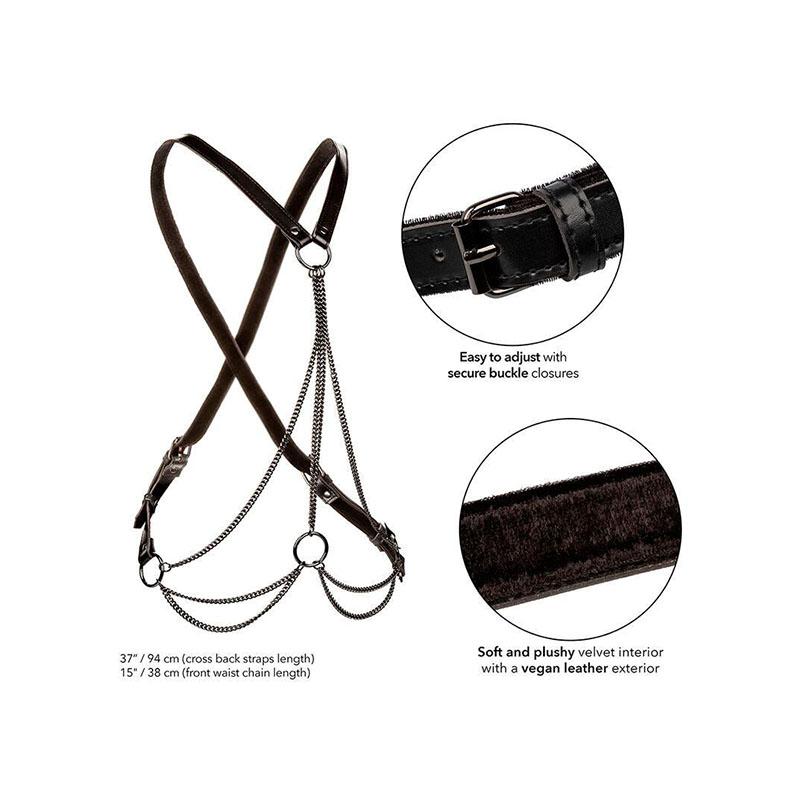 Euphoria Arnés De Múltiples Cadenas Premium