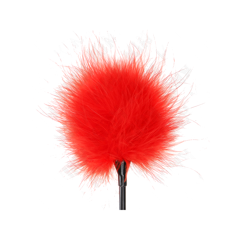 Plumas Para Cosquillas Rojo Usado Para El Kit Bondage 27 Cm