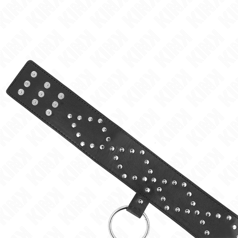 Collar Con Correa 65 Cm Con Tachuelas Plateadas Modelo 3 Ajustable 36-43 Cm X 5 Cm