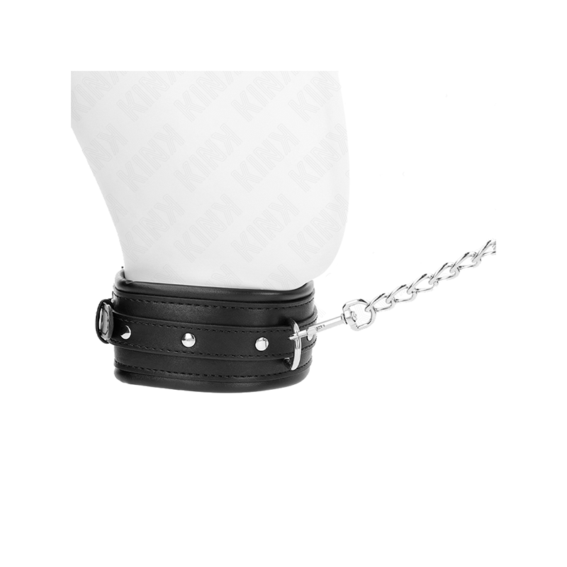 Collar Con Correa 65 Cm Hebilla Brillante 48.5 Cm X 5.3 Cm