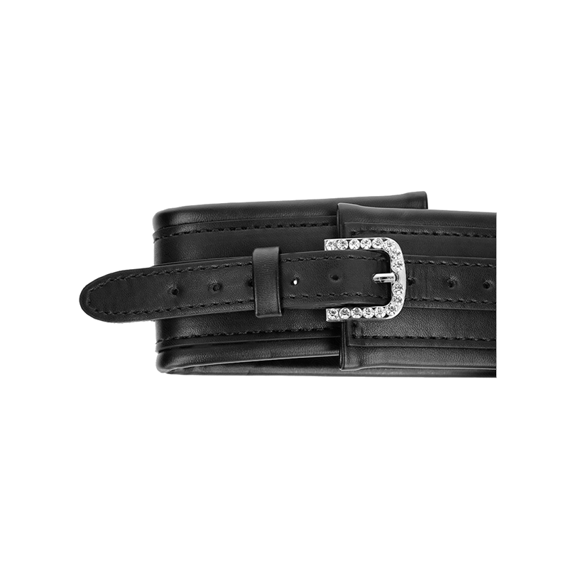 Collar Con Correa 65 Cm Hebilla Brillante 48.5 Cm X 5.3 Cm