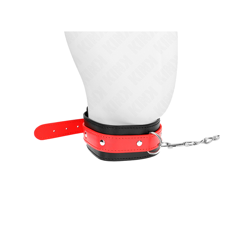 Collar Con Correa 65 Cm Rojo Ajustable 36-43 Cm X 5 Cm