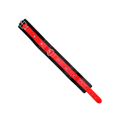 Collar Con Correa 65 Cm Rojo Ajustable 36-43 Cm X 5 Cm