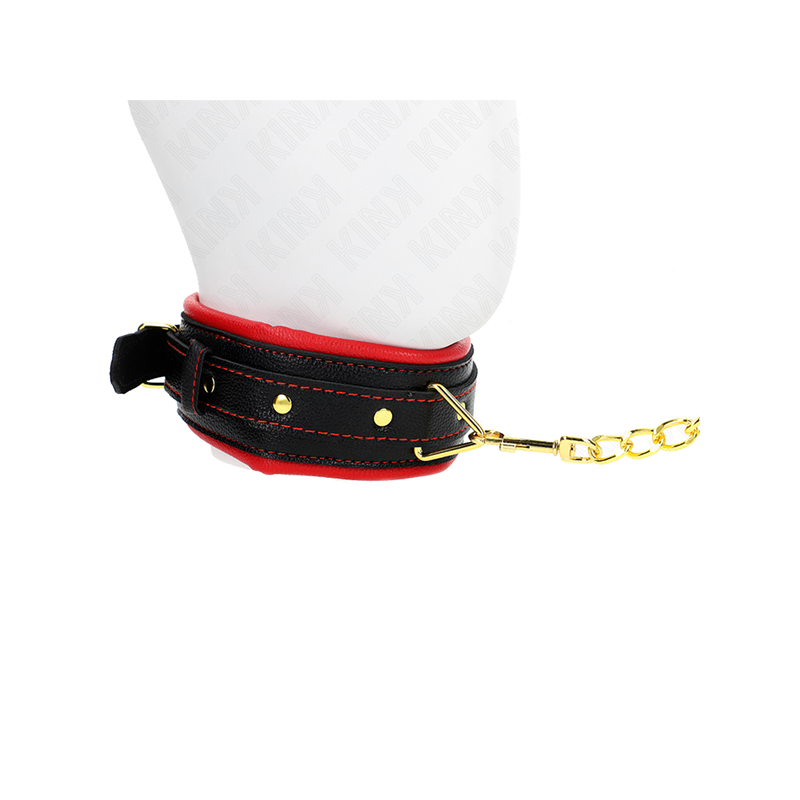 Collar Con Correa Esponja Imitación Cuero Modelo 2 Ajustable 37-54 Cm X 3 Cm