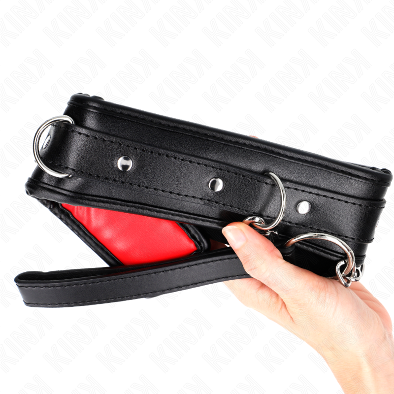 Collar Con Correa Esponja Imitación Cuero Modelo 3 Ajustable 37-54 Cm X 3 Cm