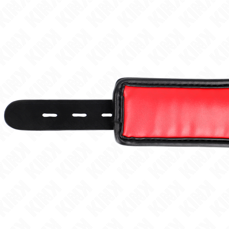 Collar Con Correa Esponja Imitación Cuero Modelo 3 Ajustable 37-54 Cm X 3 Cm