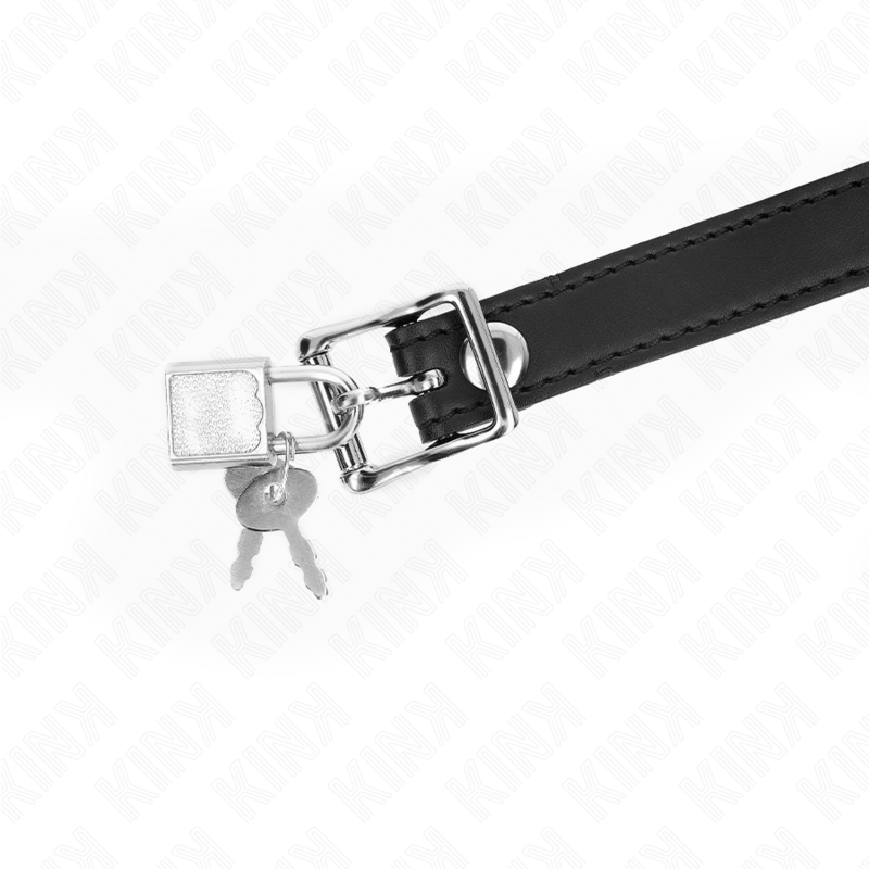 Mordaza De Bola 4 Cm De Silicona Modelo 1 Con Candado 60 X 2 Cm