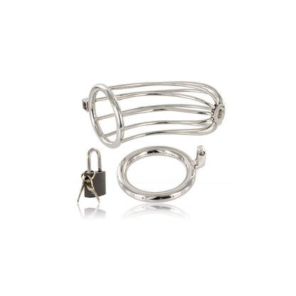 Jaula Anillo Castidad Bird